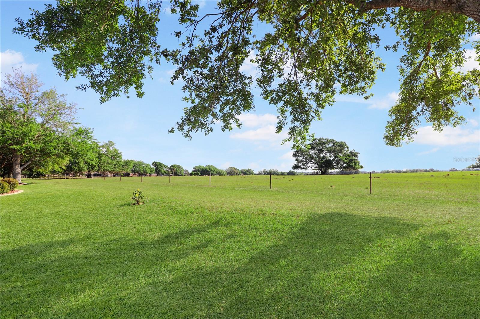 Image 28 of 48 For 20846 Queen Alexandra Drive