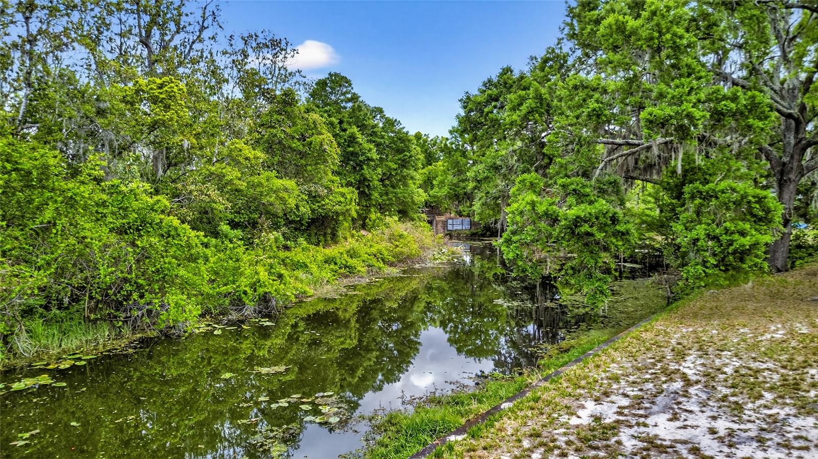 Image 16 of 42 For 34618 Haines Creek Road