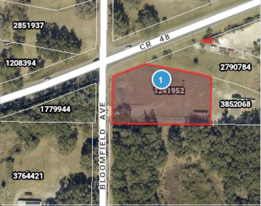 Details for County Road 48, YALAHA, FL 34797
