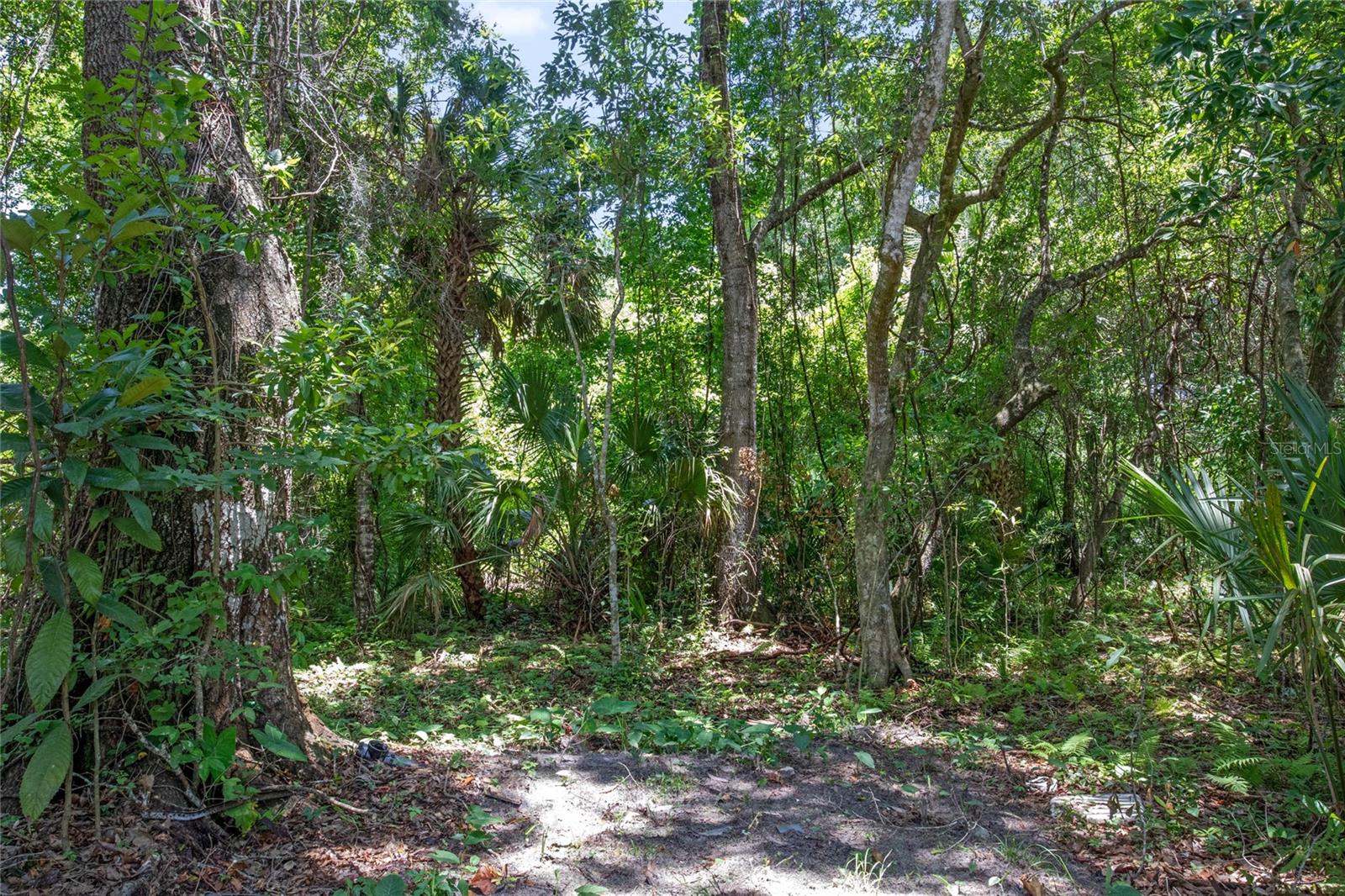 Image 13 of 61 For 15527 Trousdale Street