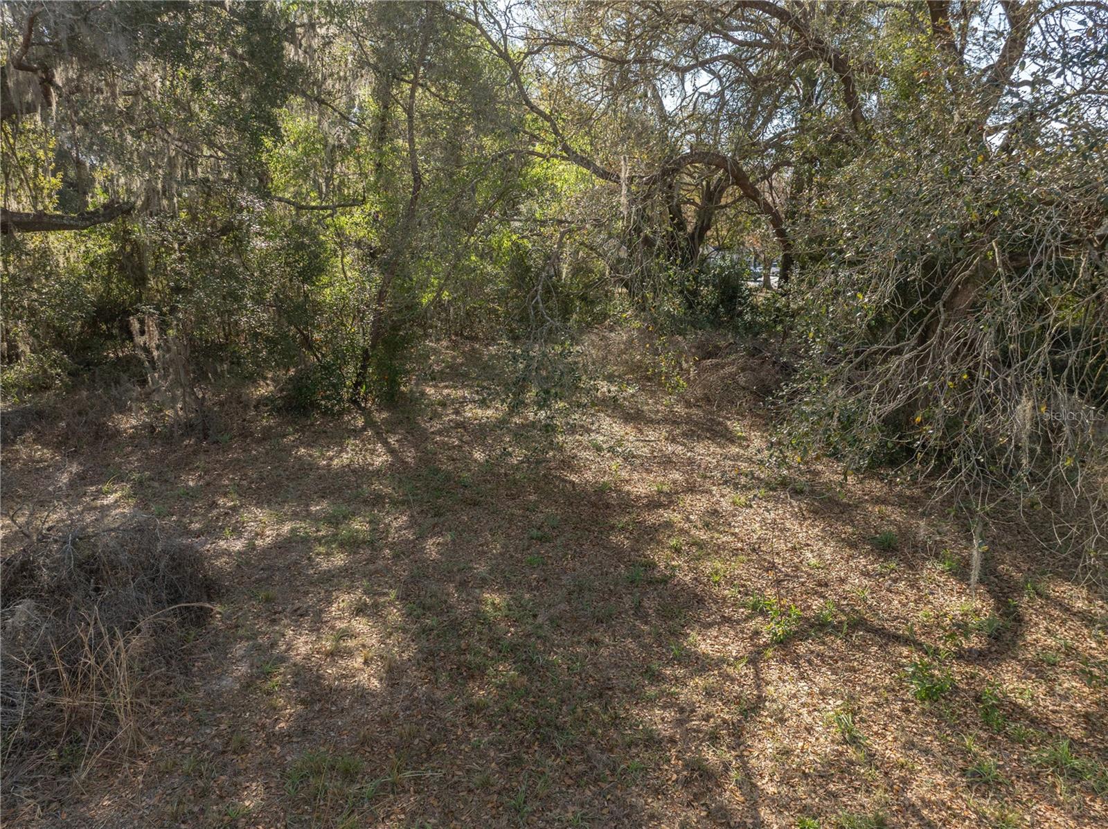 Image 9 of 16 For 100 Old Wire Road