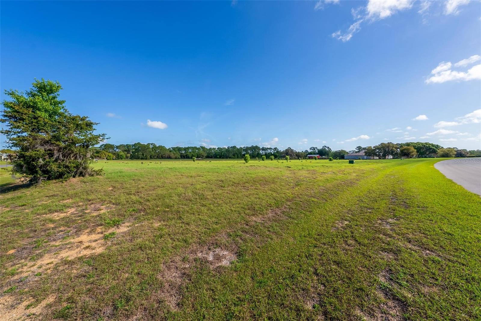 Image 27 of 30 For 38529 Wooded Meadow Drive