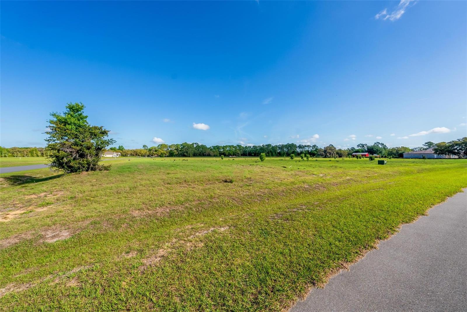 Image 28 of 30 For 38529 Wooded Meadow Drive