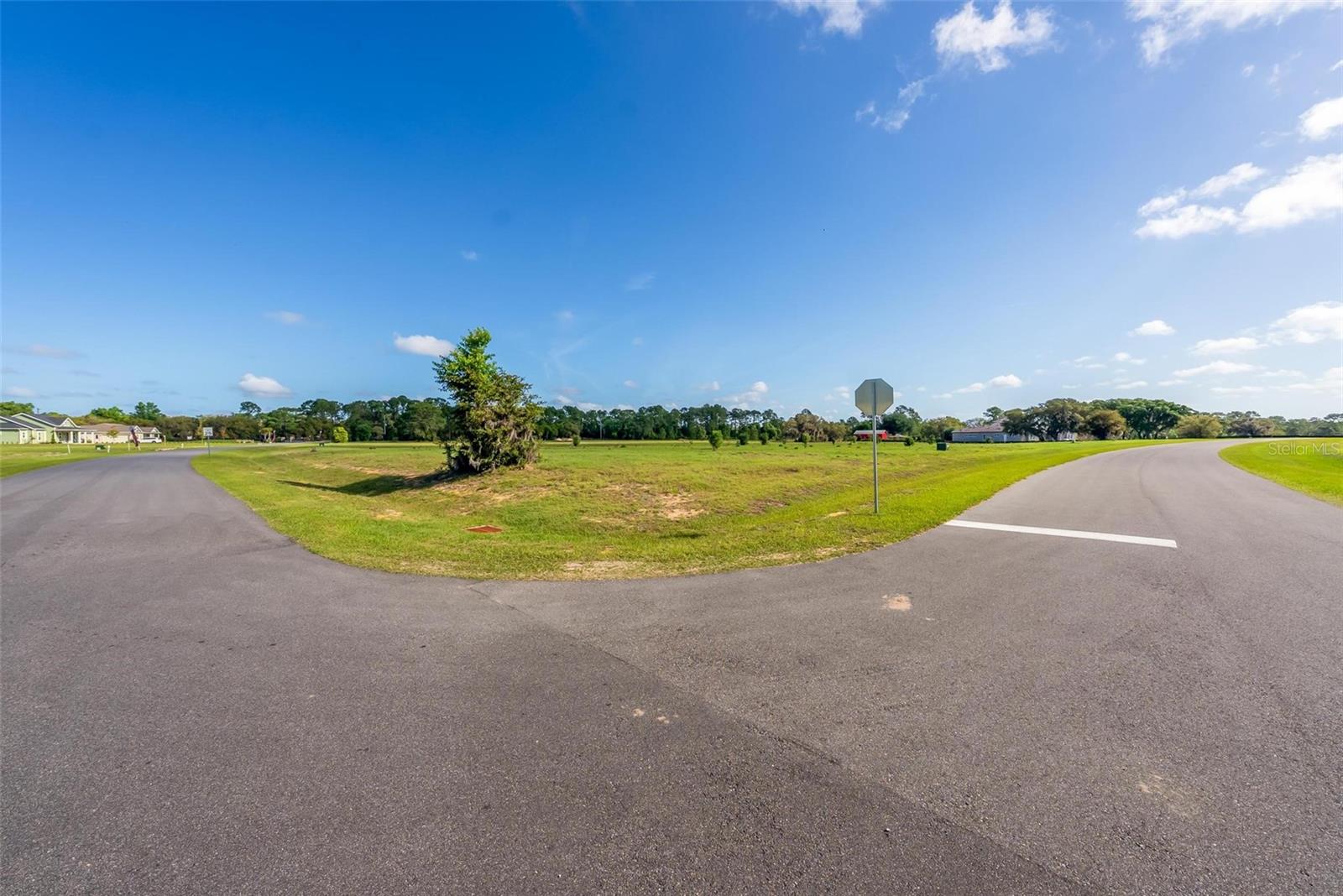 Image 29 of 30 For 38529 Wooded Meadow Drive