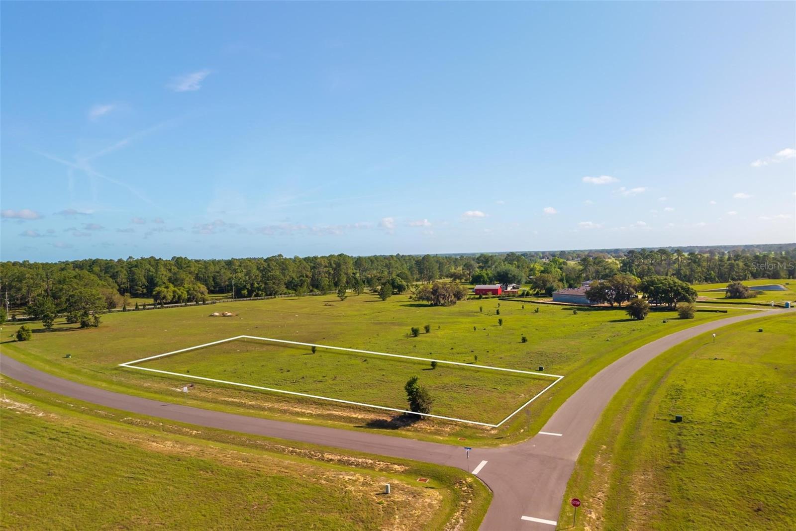 Image 4 of 30 For 38529 Wooded Meadow Drive