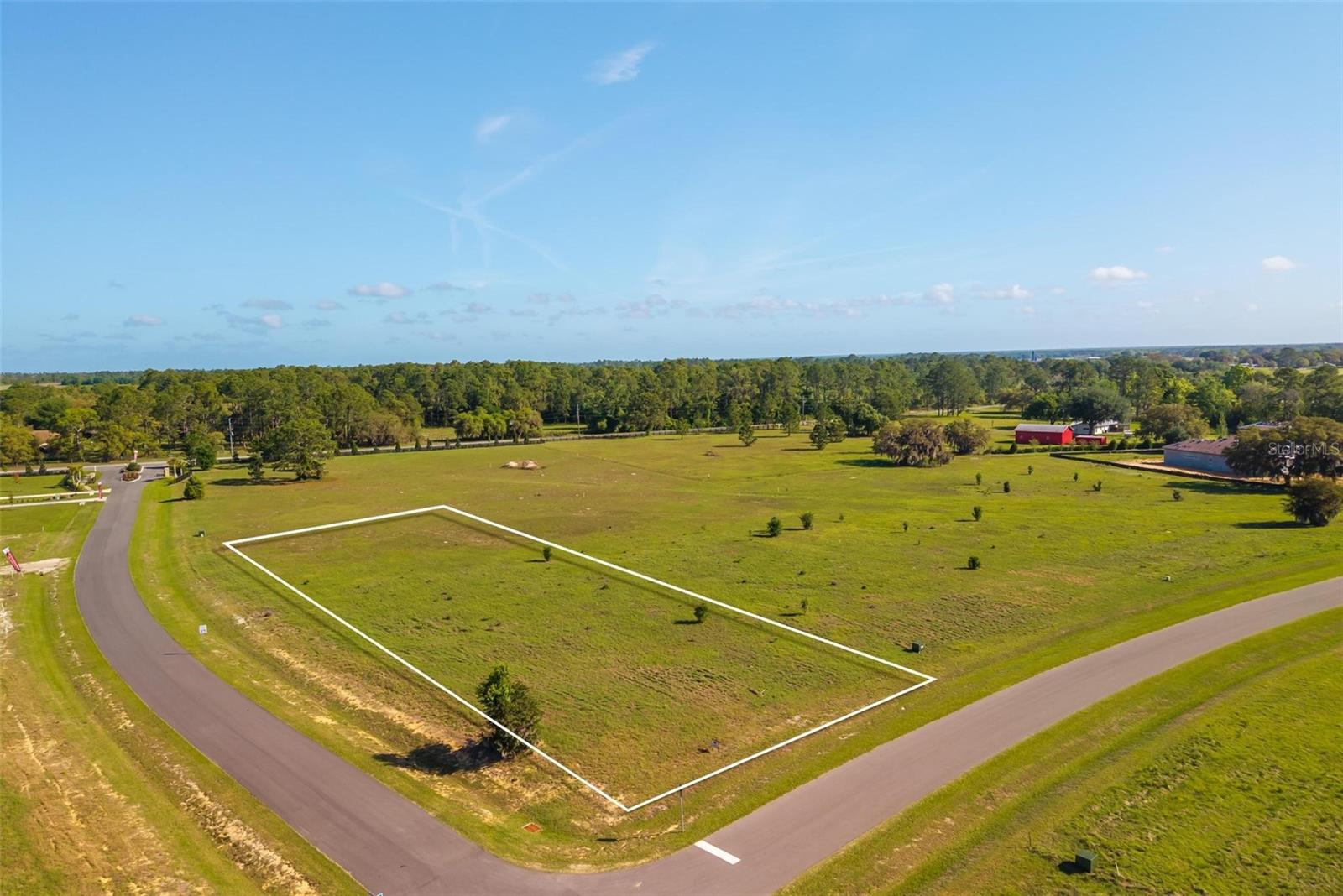 Image 6 of 30 For 38529 Wooded Meadow Drive