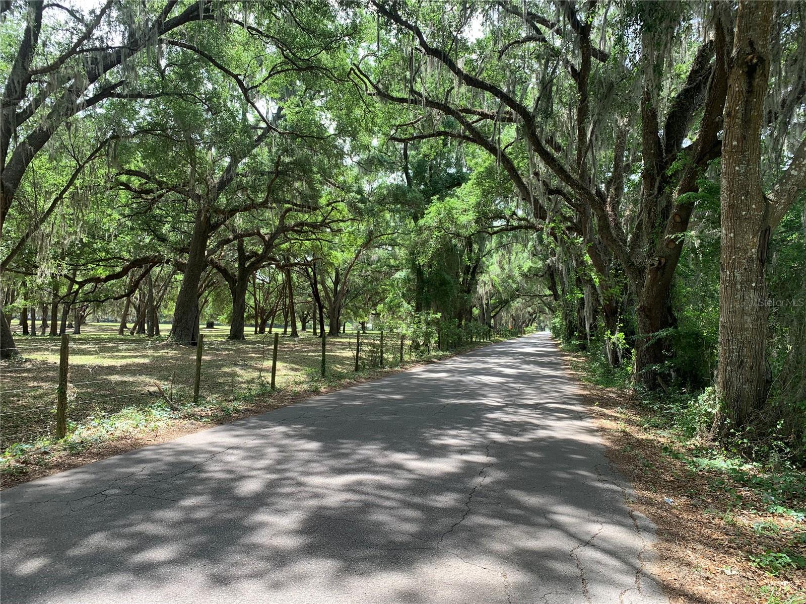 Image 7 of 7 For  727  