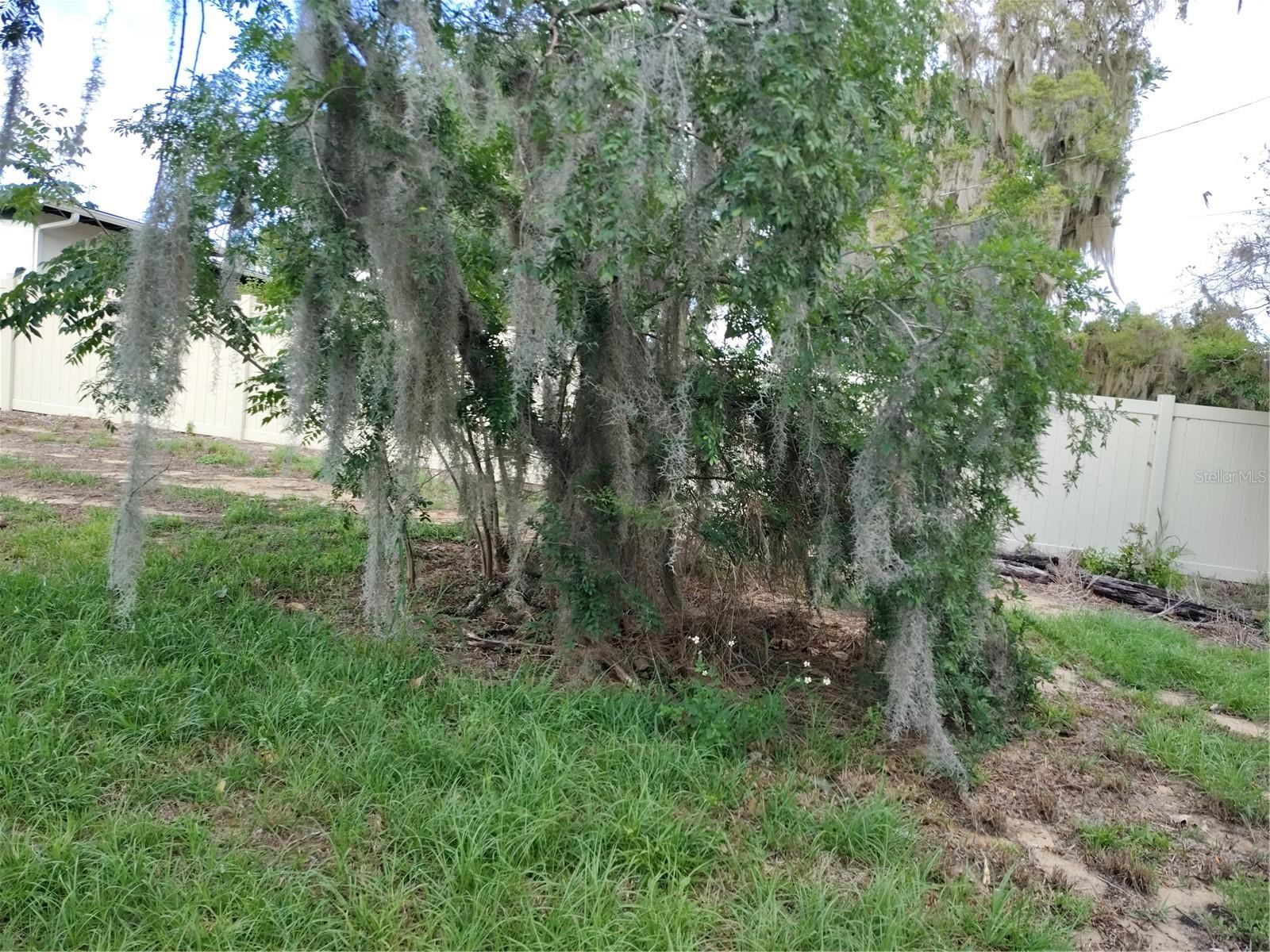 Image 3 of 18 For 0 Myrtle Street