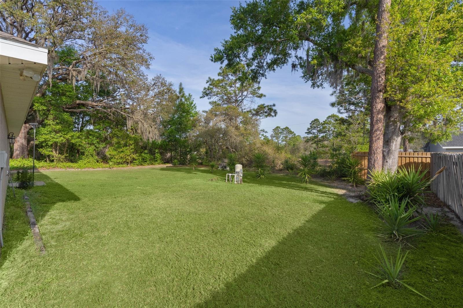 Image 33 of 34 For 13 Malauka Radial Run