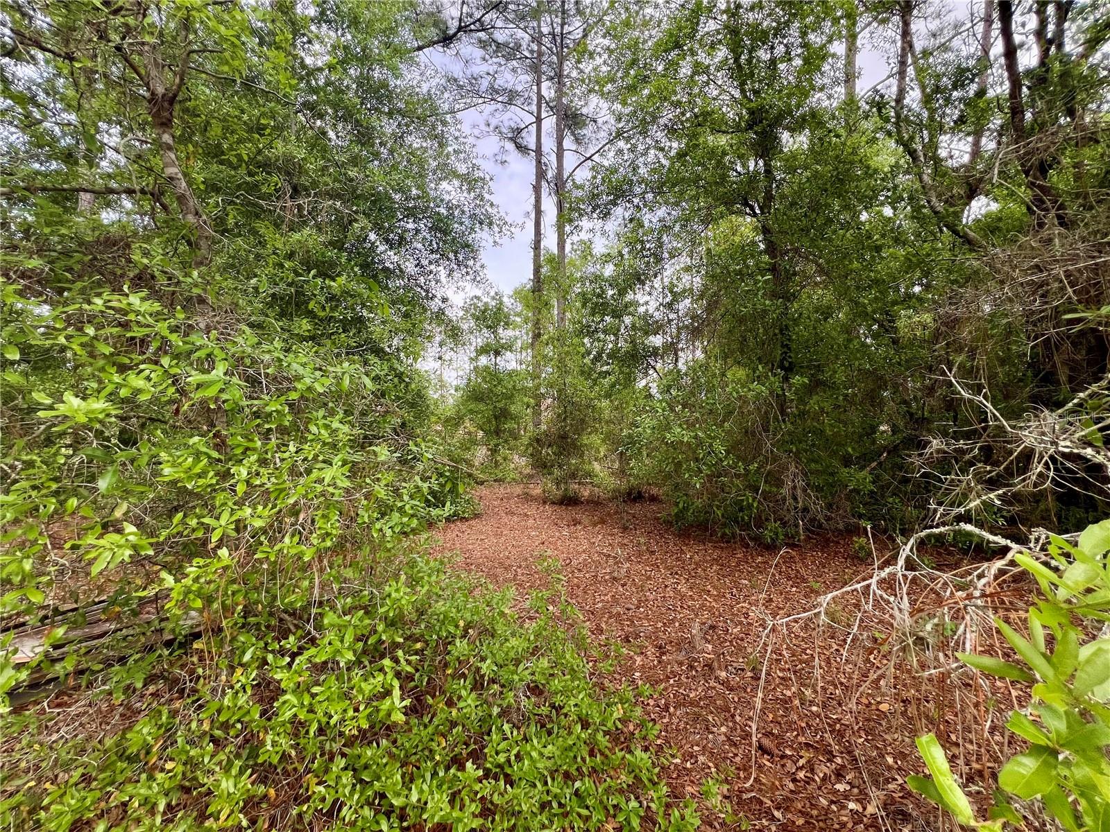 Image 48 of 76 For 20825 County Road 44a