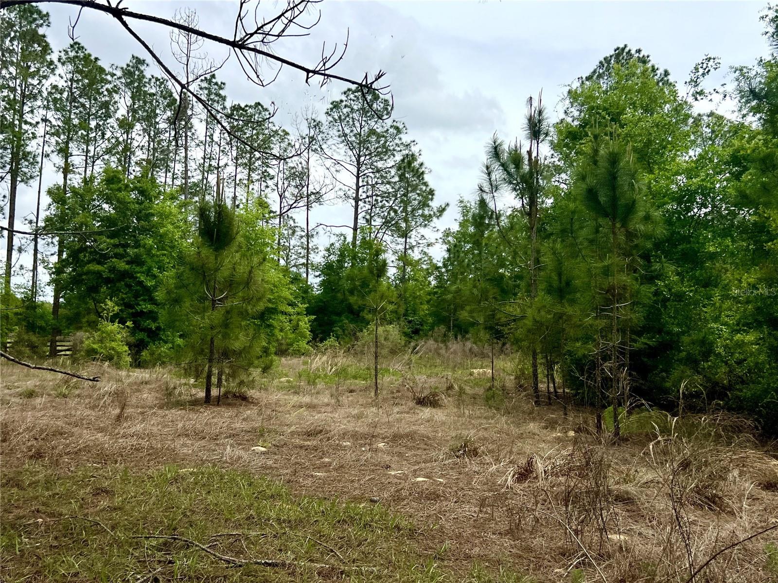 Image 63 of 76 For 20825 County Road 44a