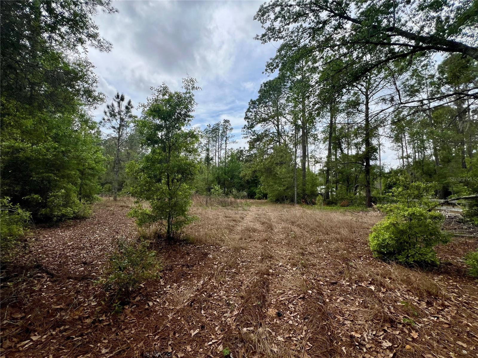 Image 65 of 76 For 20825 County Road 44a