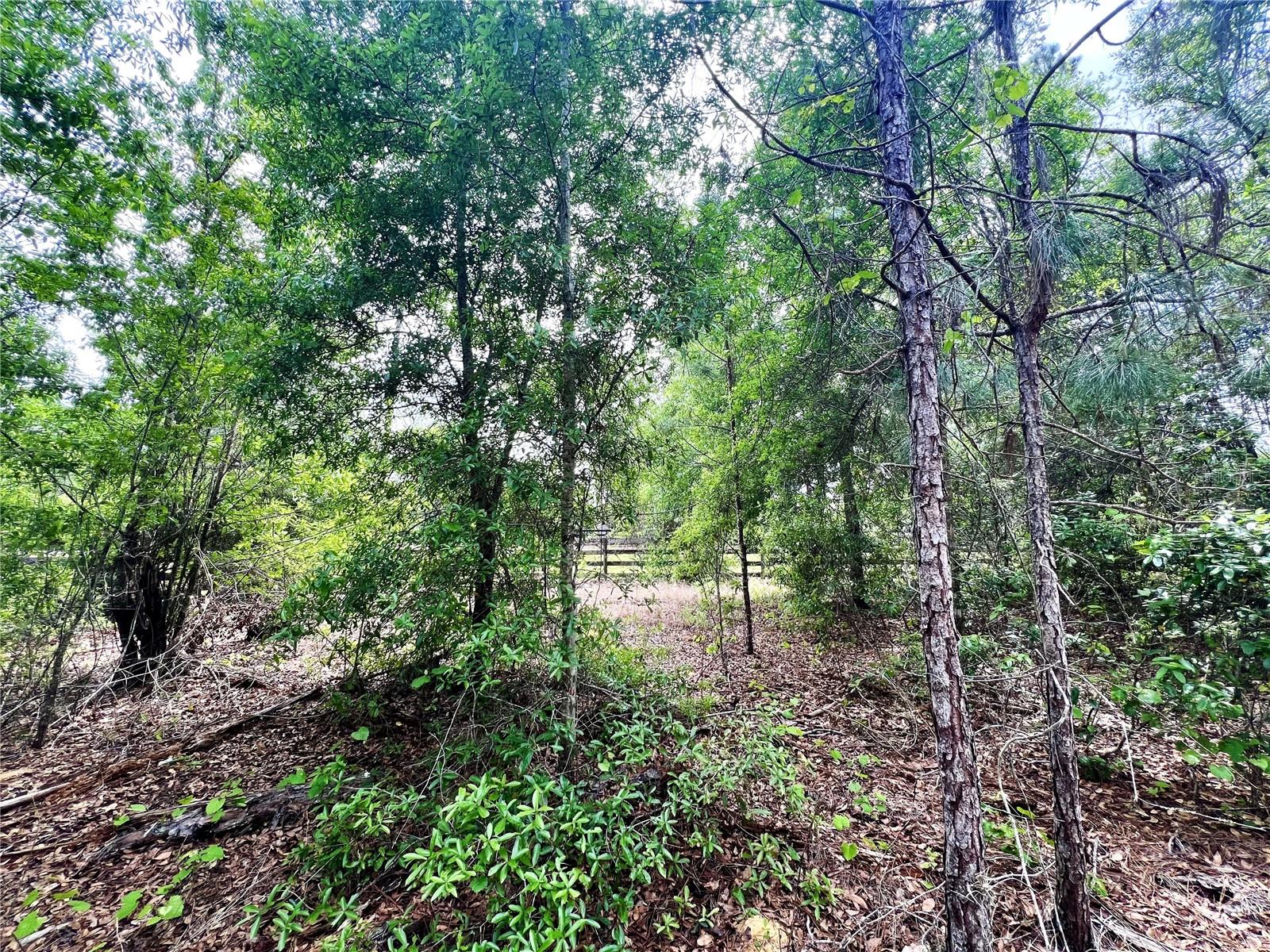 Image 66 of 76 For 20825 County Road 44a