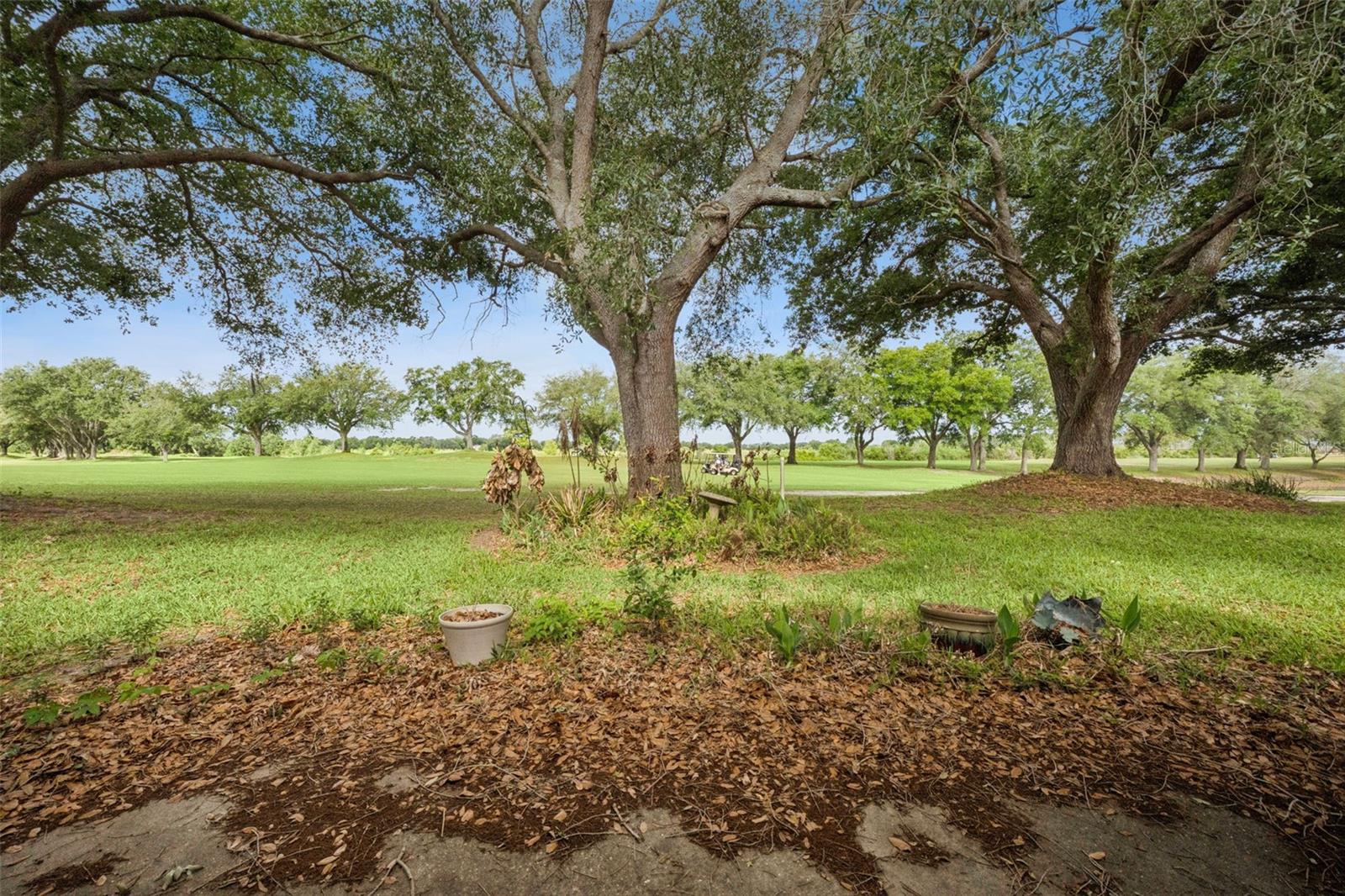 Image 24 of 56 For 21733 Royal St Georges Lane