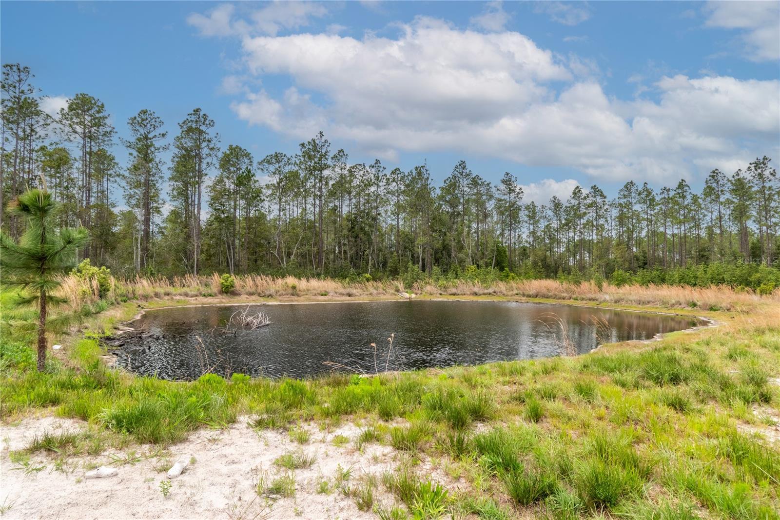 Image 32 of 62 For 12655 215th Street