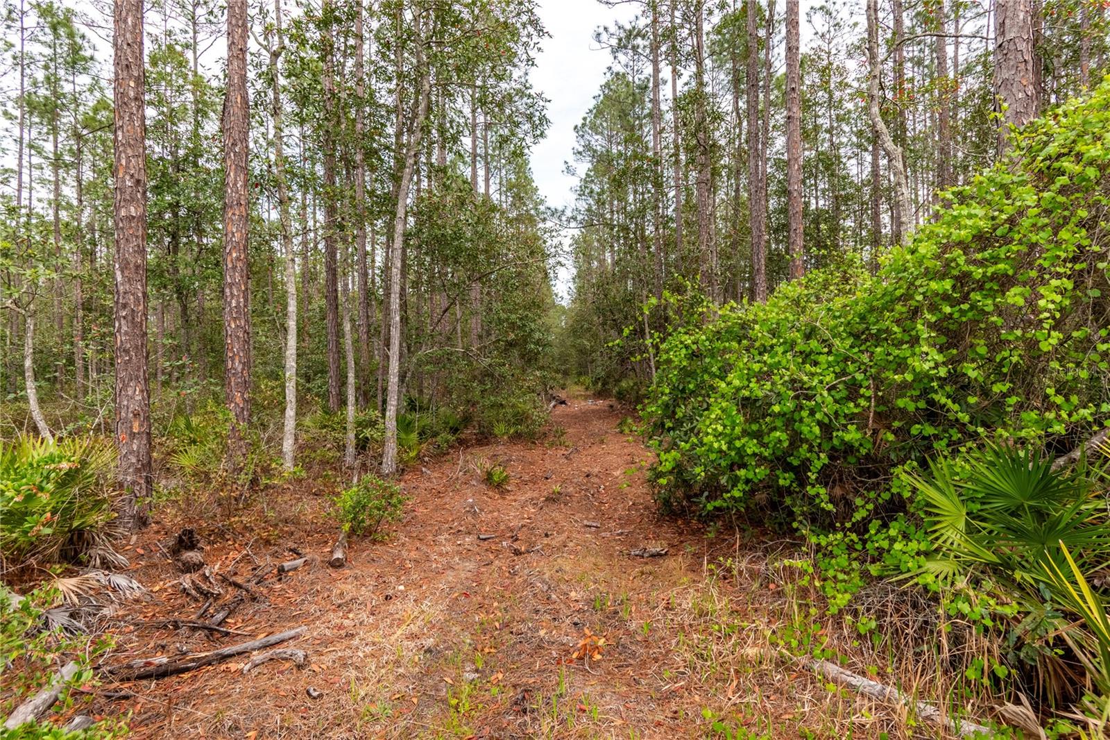 Image 33 of 62 For 12655 215th Street