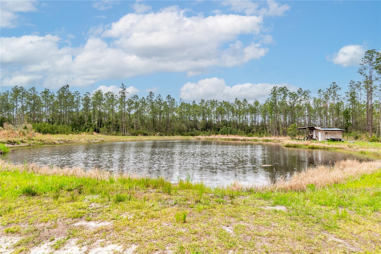 Image 54 of 62 For 12655 215th Street