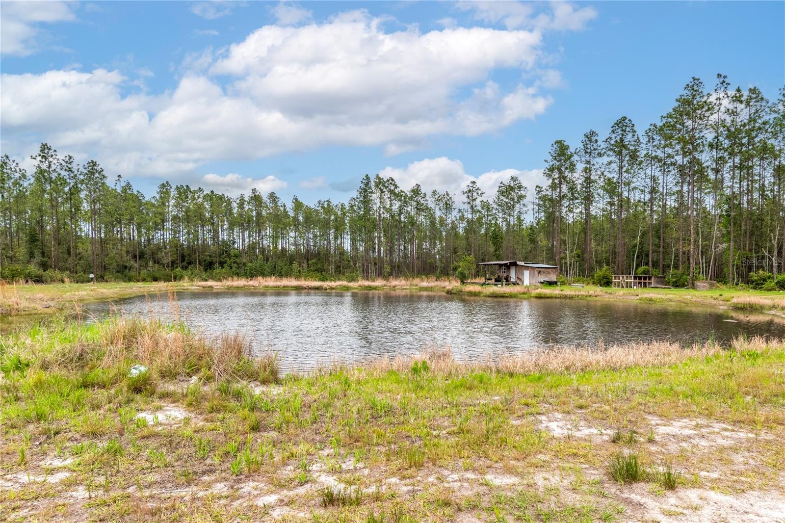 Image 55 of 62 For 12655 215th Street