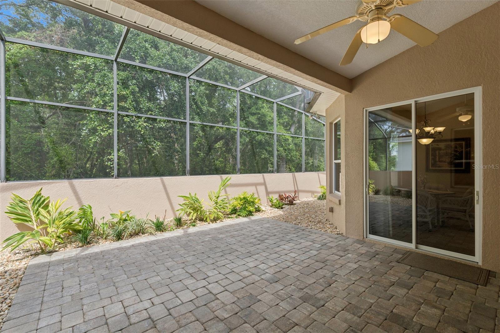 Image 32 of 35 For 27335 Orchid Glade Street