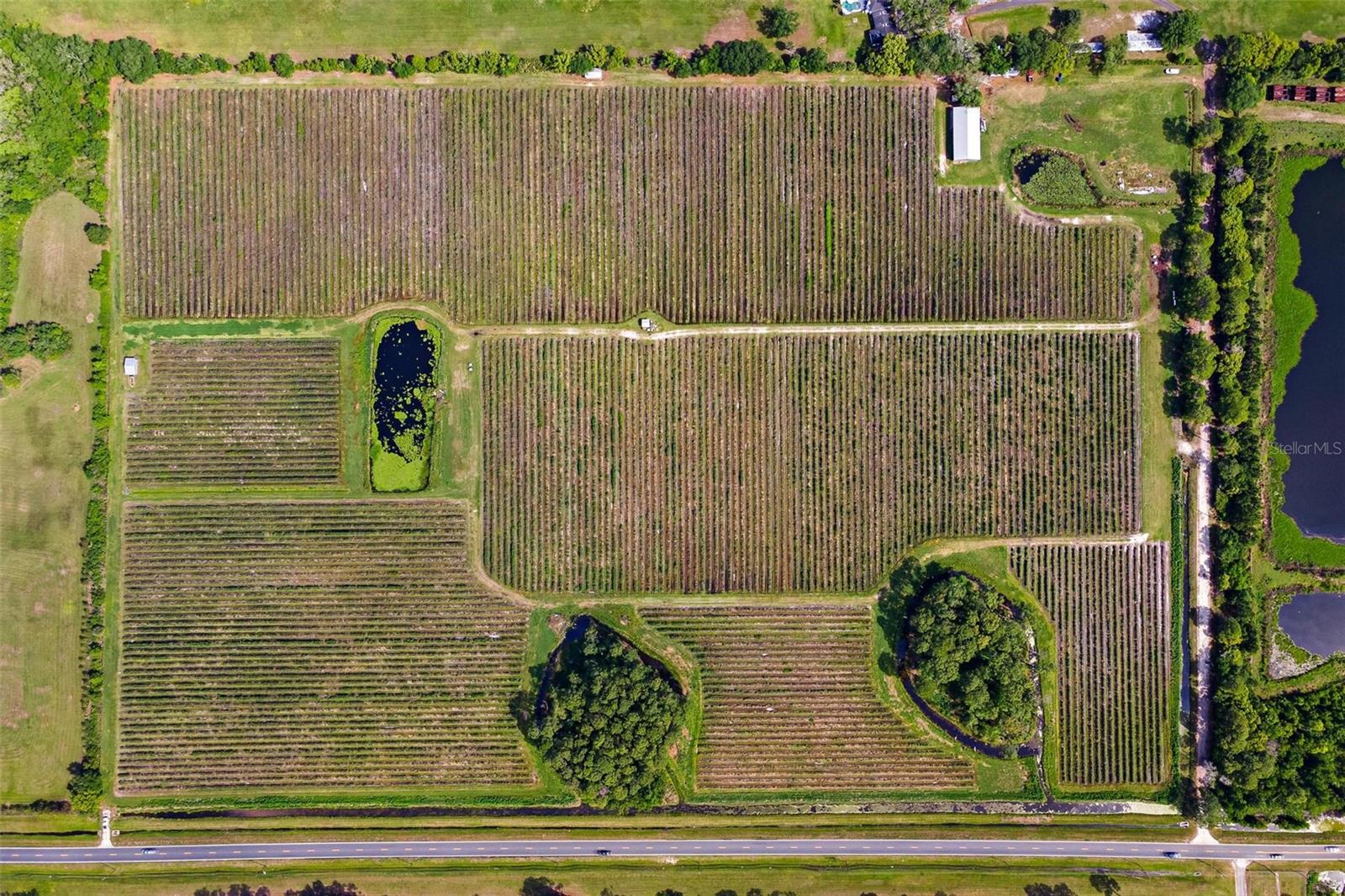 Image 10 of 12 For 7453 Jones Avenue