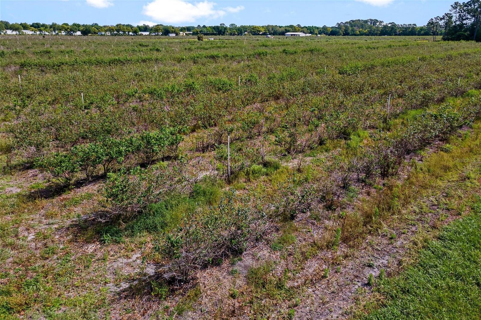 Image 11 of 12 For 7453 Jones Avenue