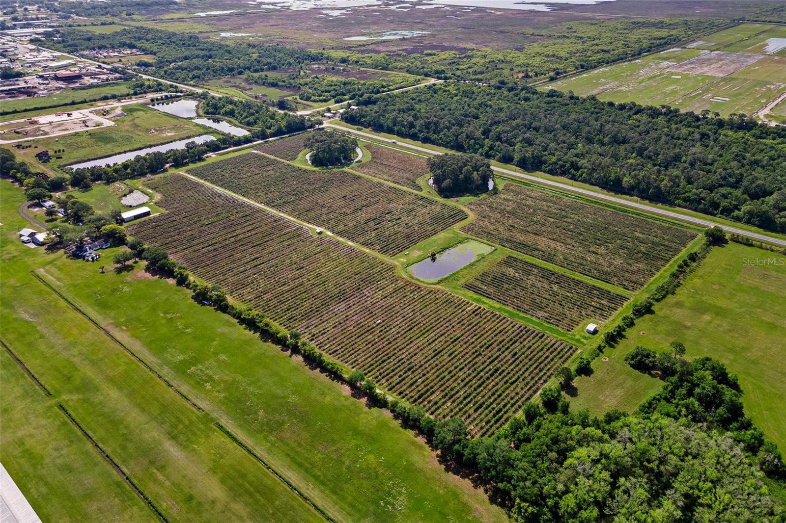 Image 8 of 12 For 7453 Jones Avenue