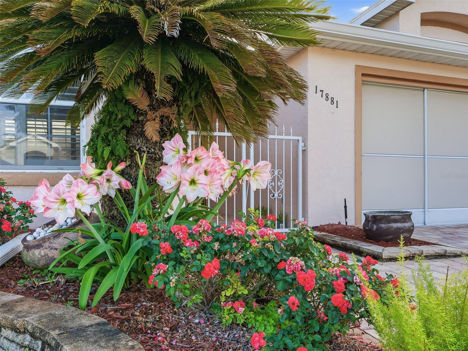 Image 10 of 60 For 17881 115th Court