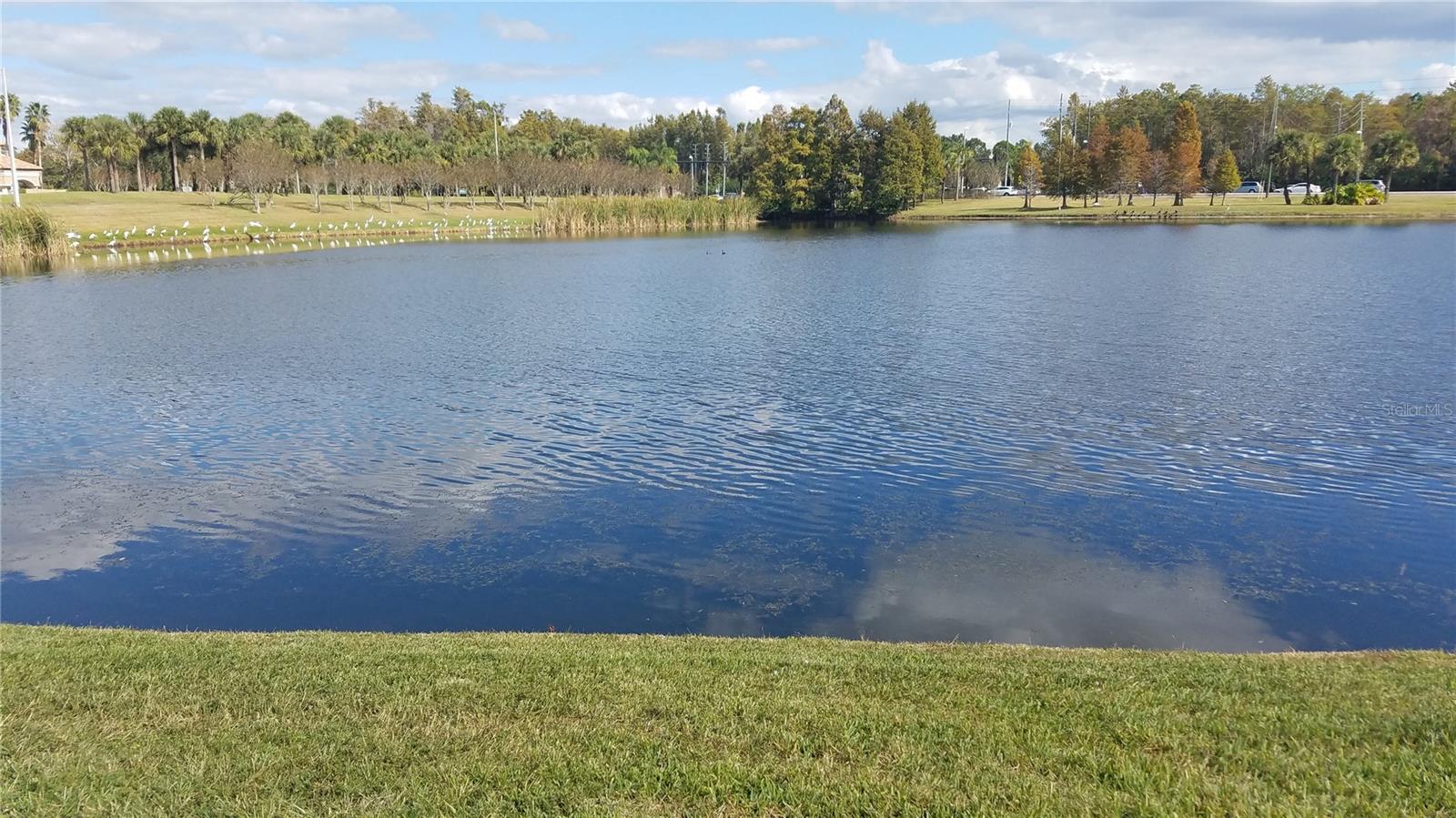 Image 28 of 37 For 2015 Reston Road 2211