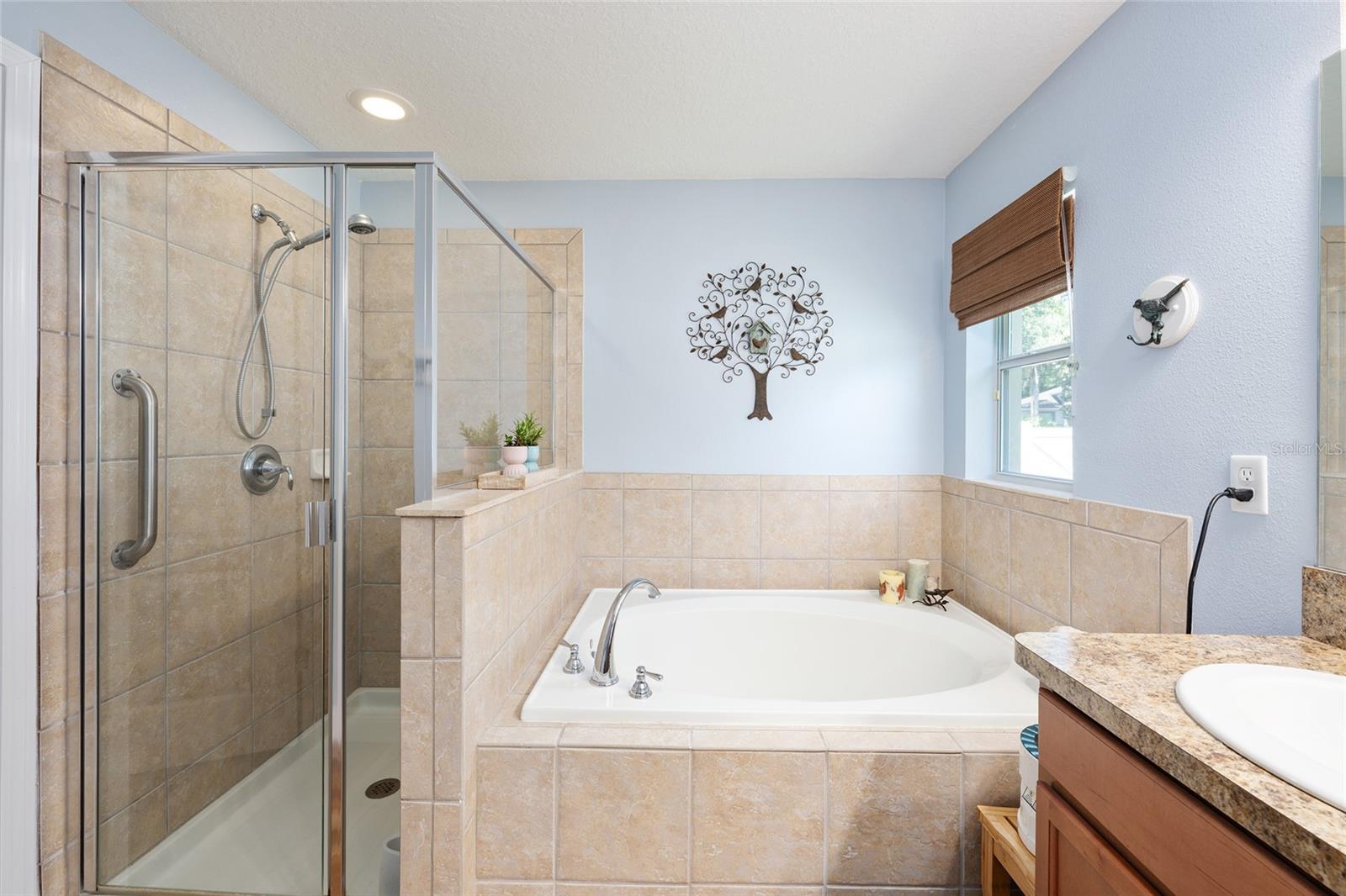 Image 41 of 71 For 5814 Coquyt Drive