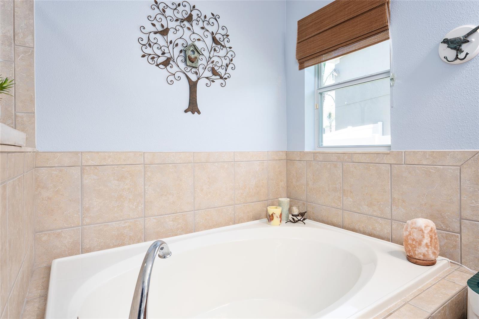 Image 42 of 71 For 5814 Coquyt Drive