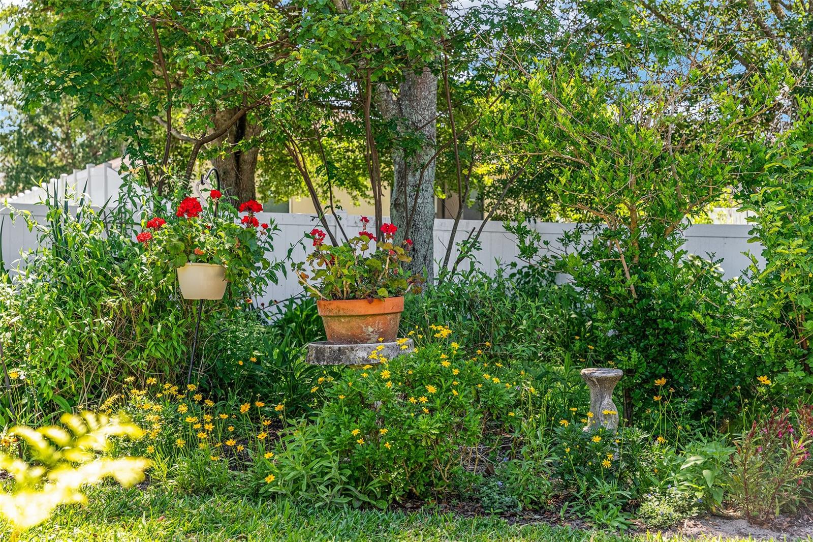 Image 63 of 71 For 5814 Coquyt Drive