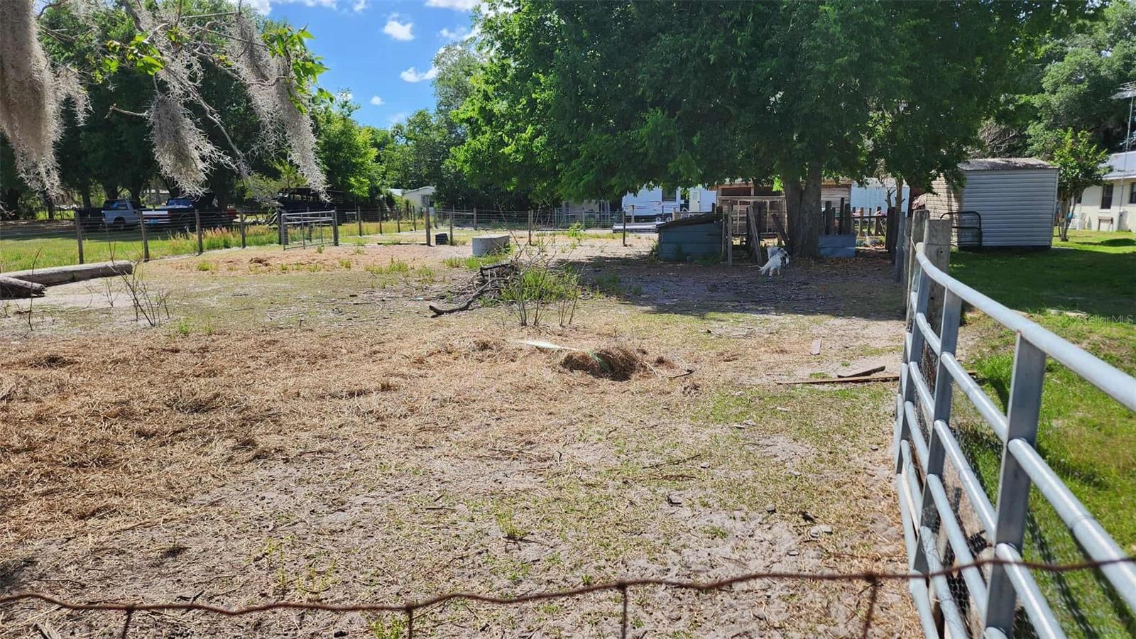 Image 10 of 24 For 151 Elm Street