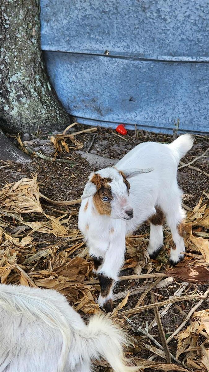 Image 12 of 24 For 151 Elm Street