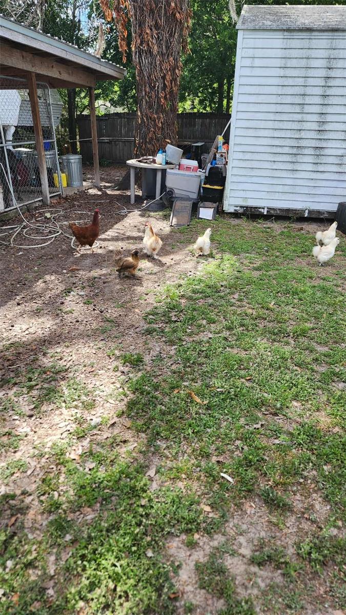 Image 13 of 24 For 151 Elm Street