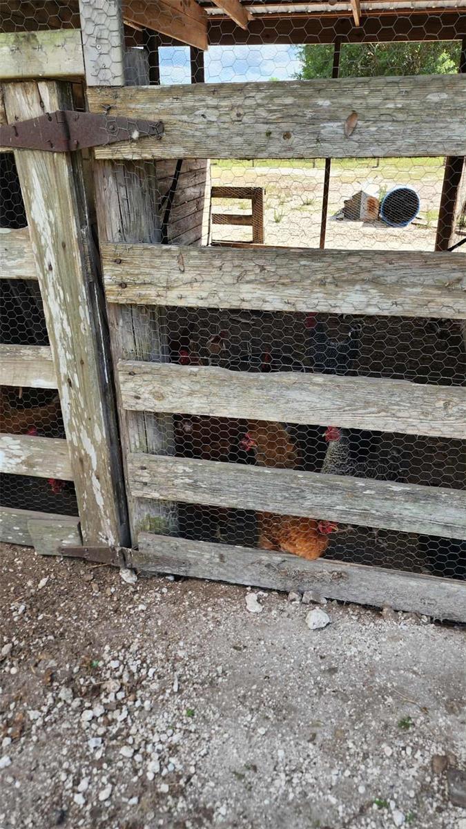 Image 8 of 24 For 151 Elm Street