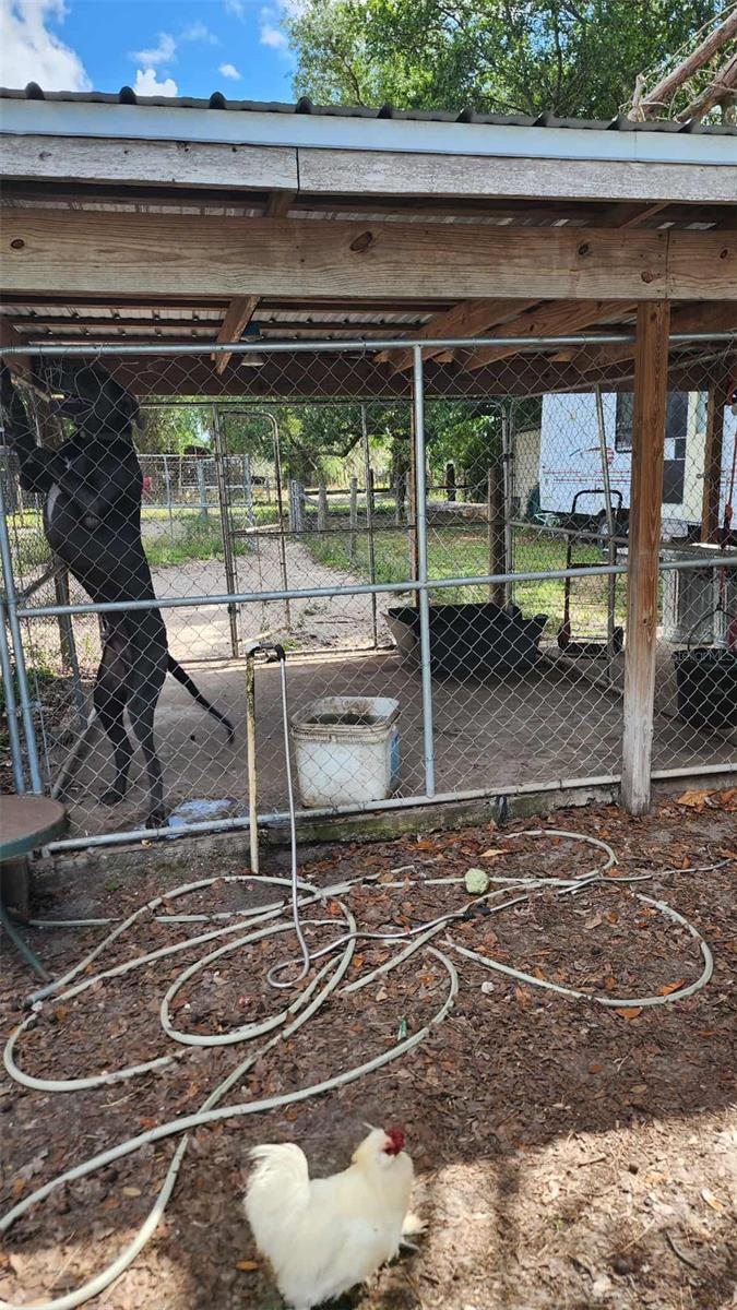 Image 9 of 24 For 151 Elm Street