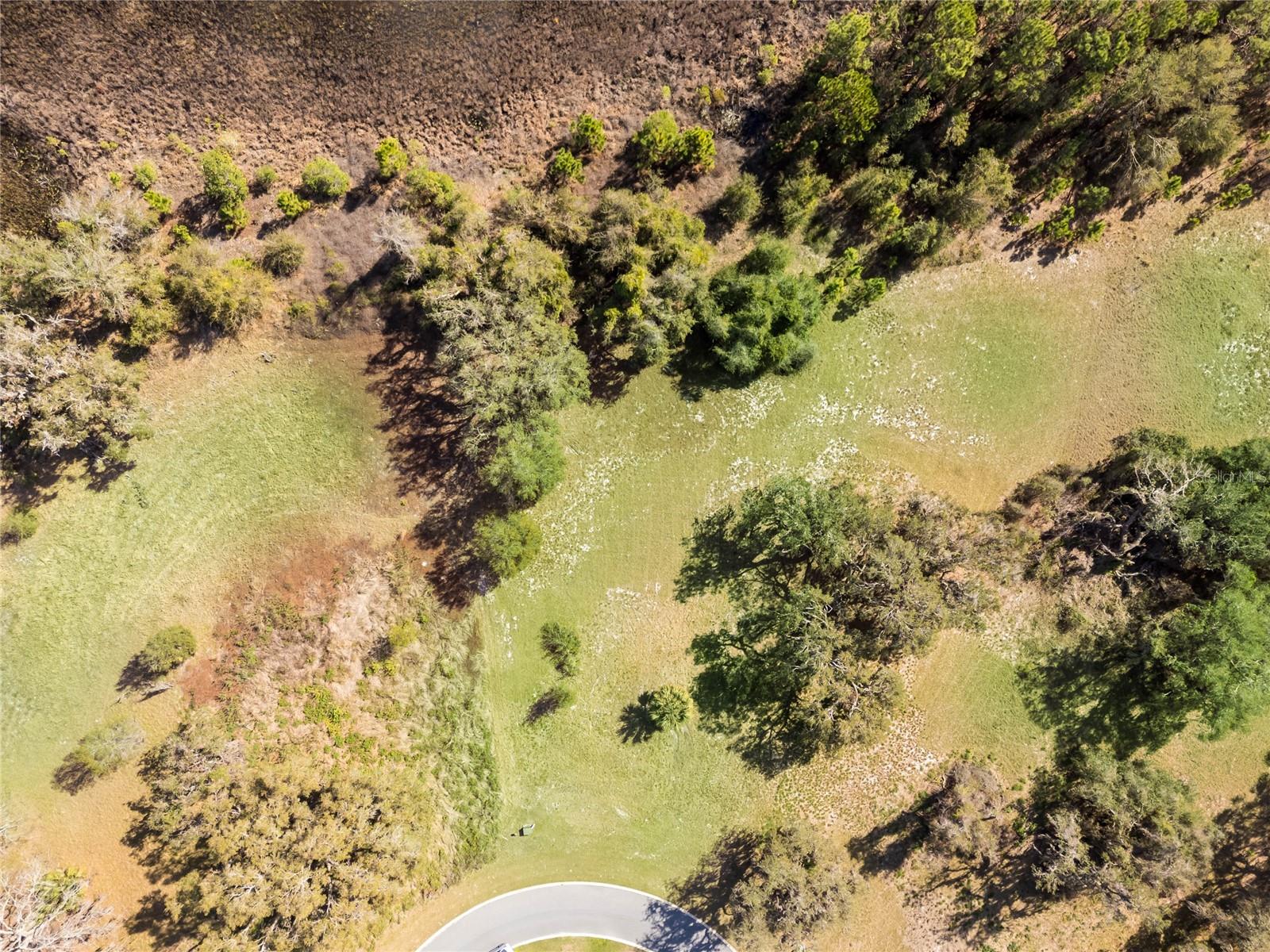 Image 14 of 19 For 476 Long And Winding Rd