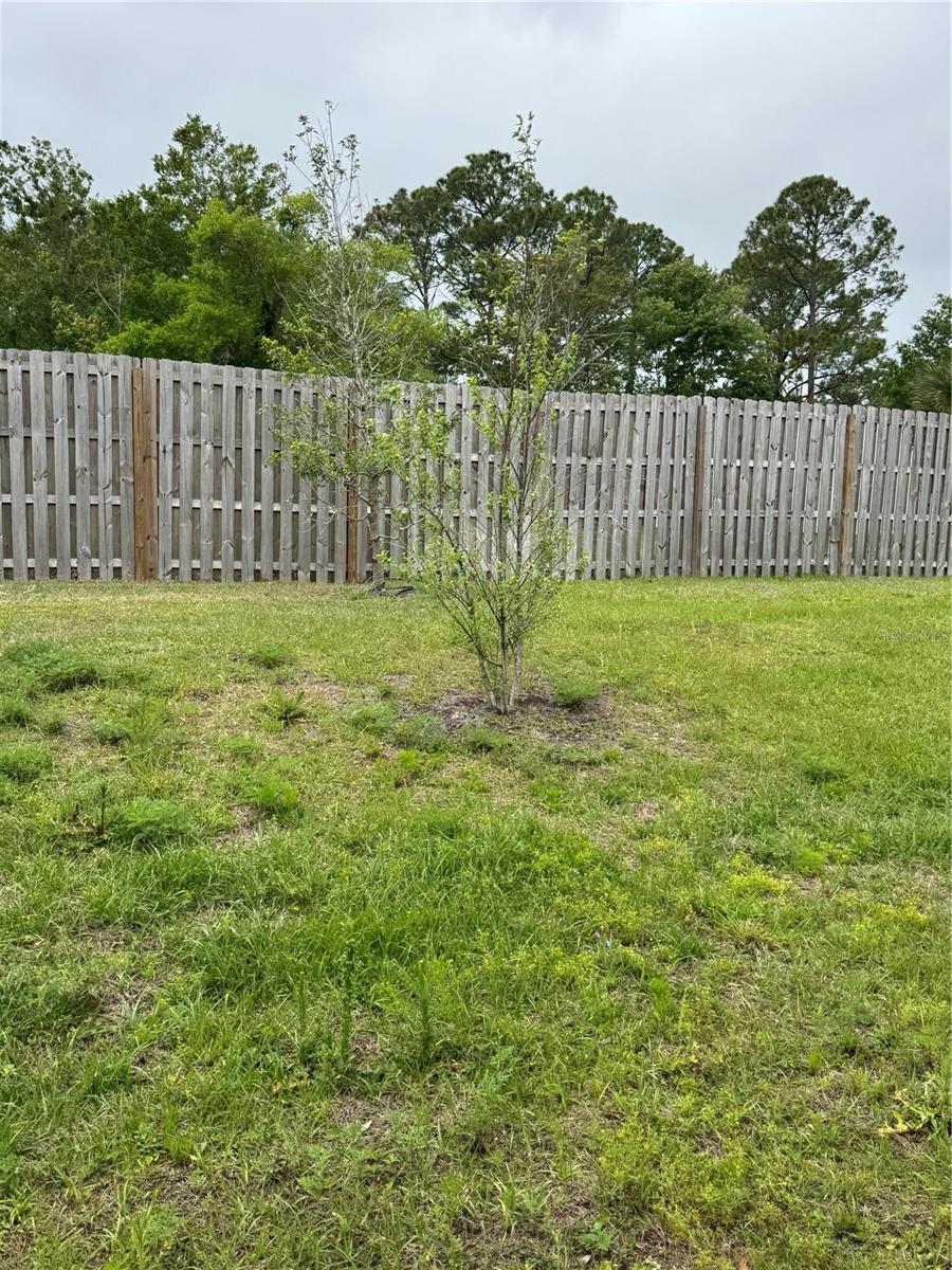 Image 22 of 23 For 203 Chesterwood Road