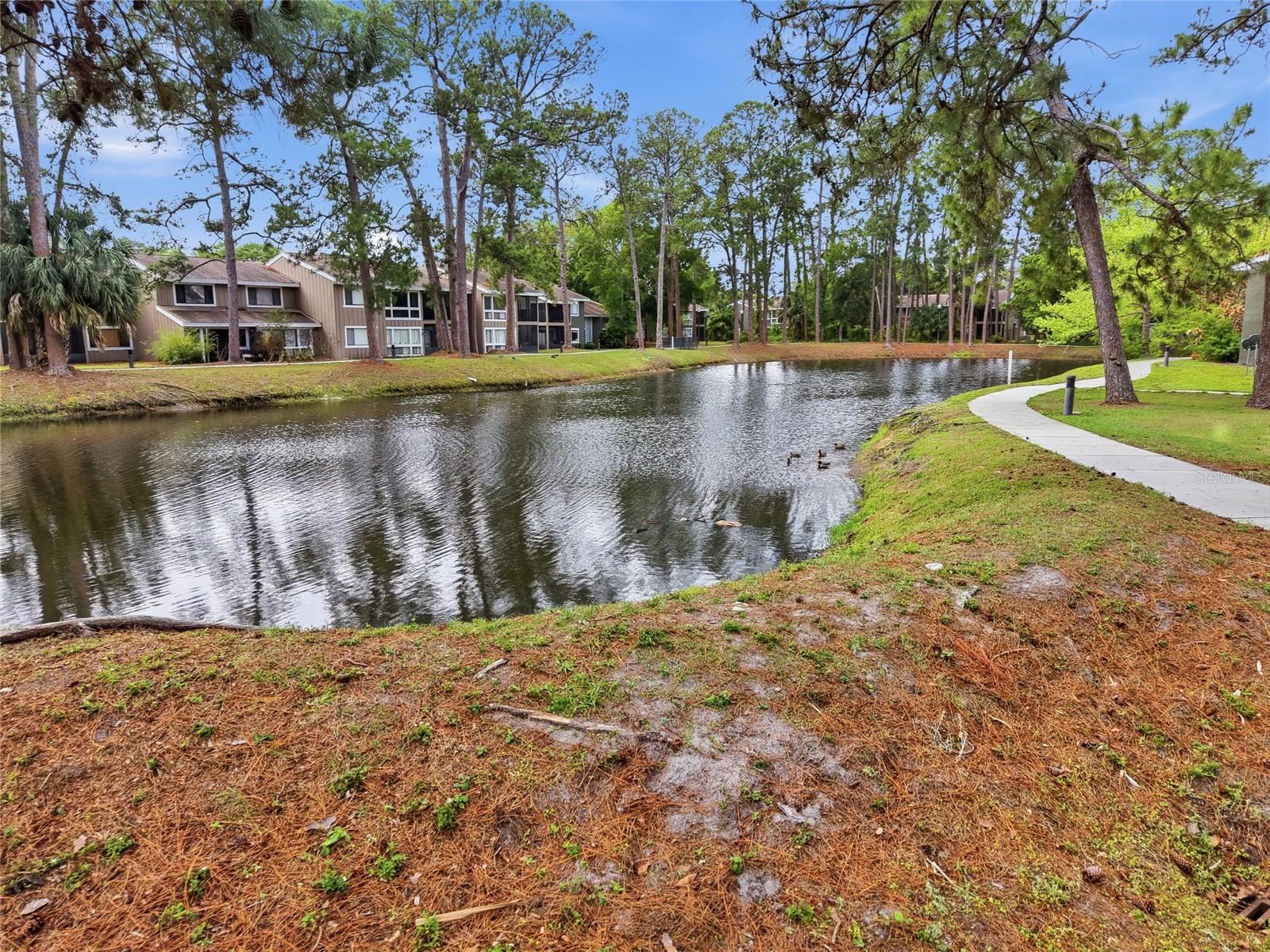 Image 26 of 33 For 6060 Peregrine Avenue 17e