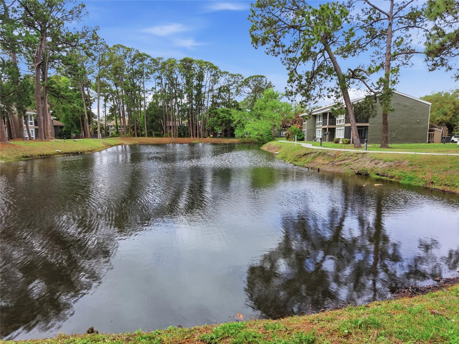 Image 4 of 33 For 6060 Peregrine Avenue 17e