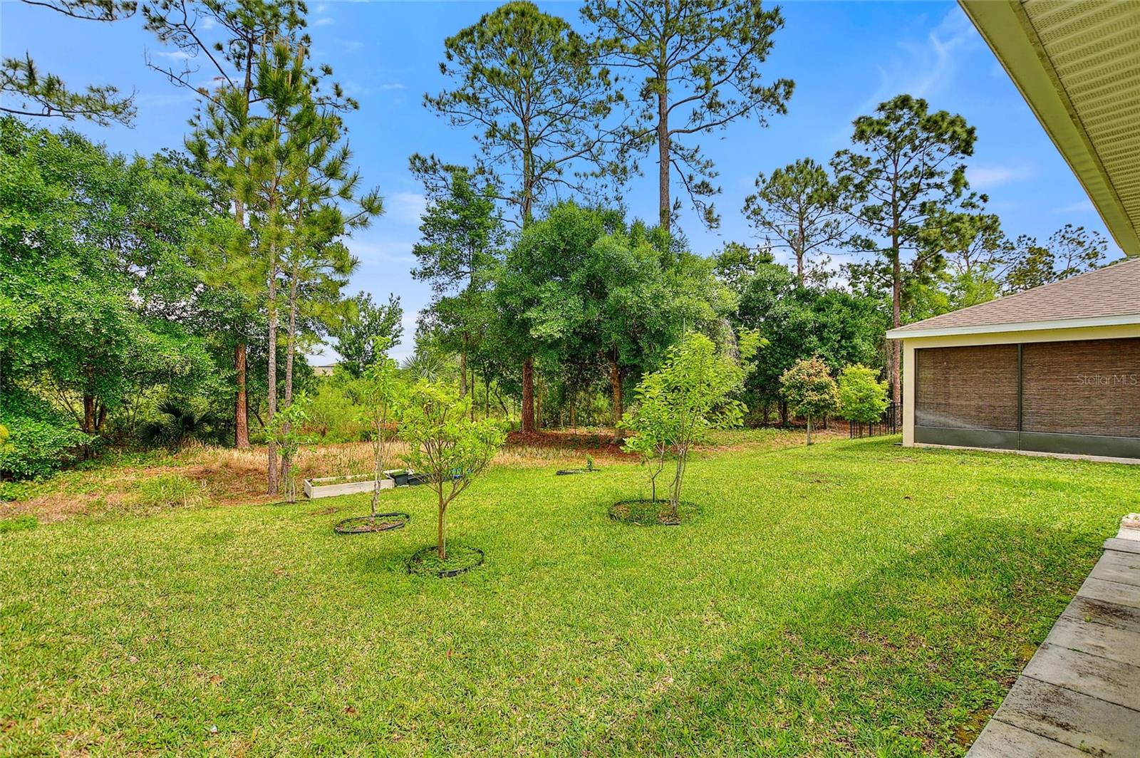 Image 31 of 50 For 17197 Cagan Crossings Boulevard