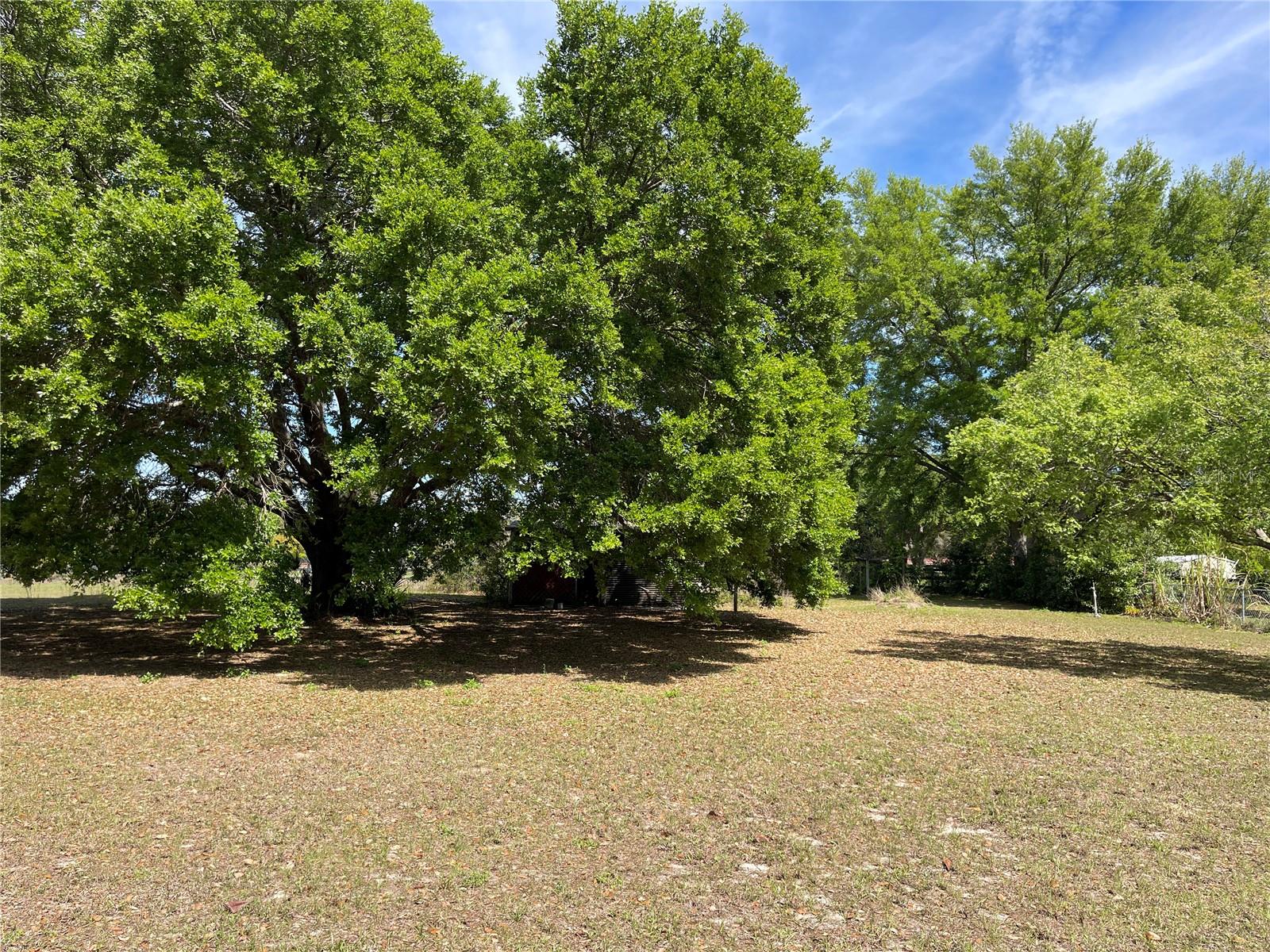 Image 4 of 25 For 15121 175th Street