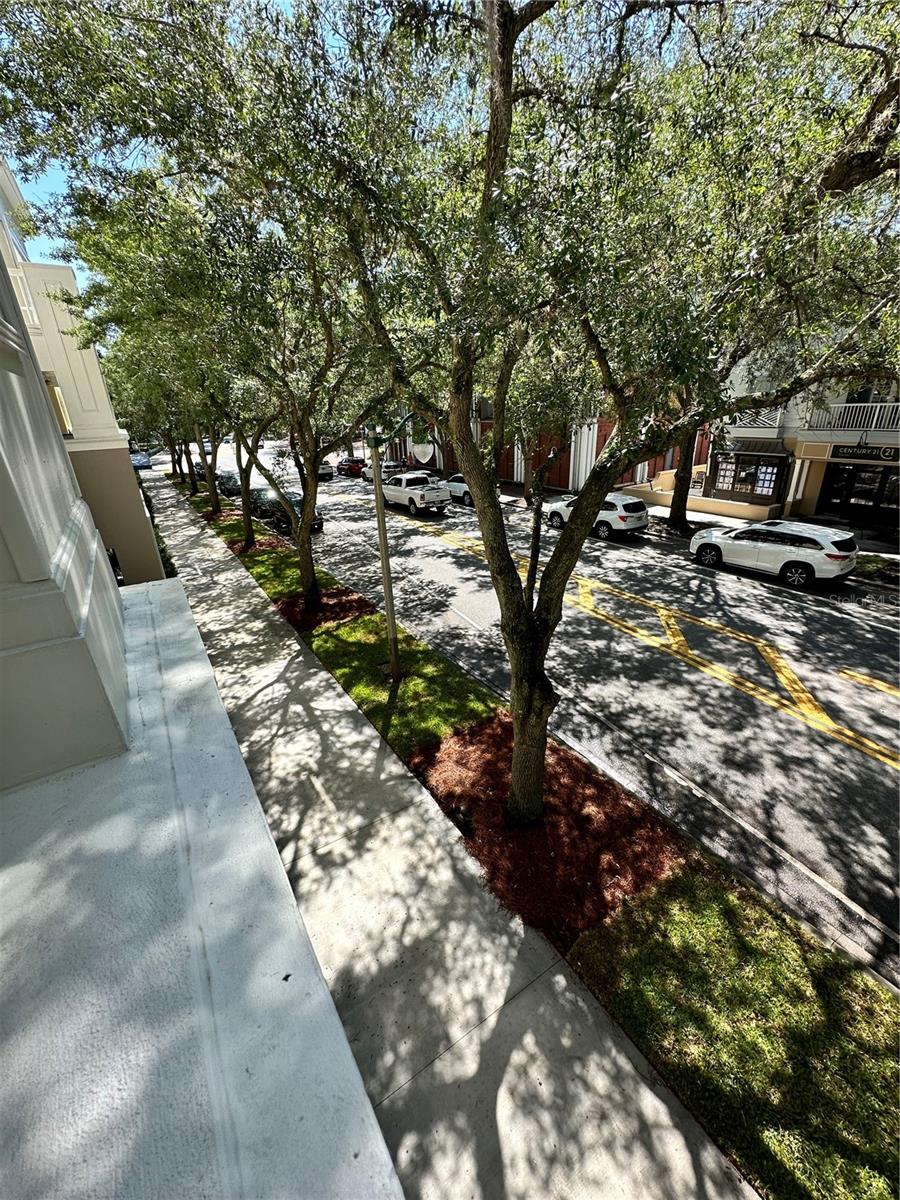 Image 23 of 54 For 729 Celebration Avenue 729