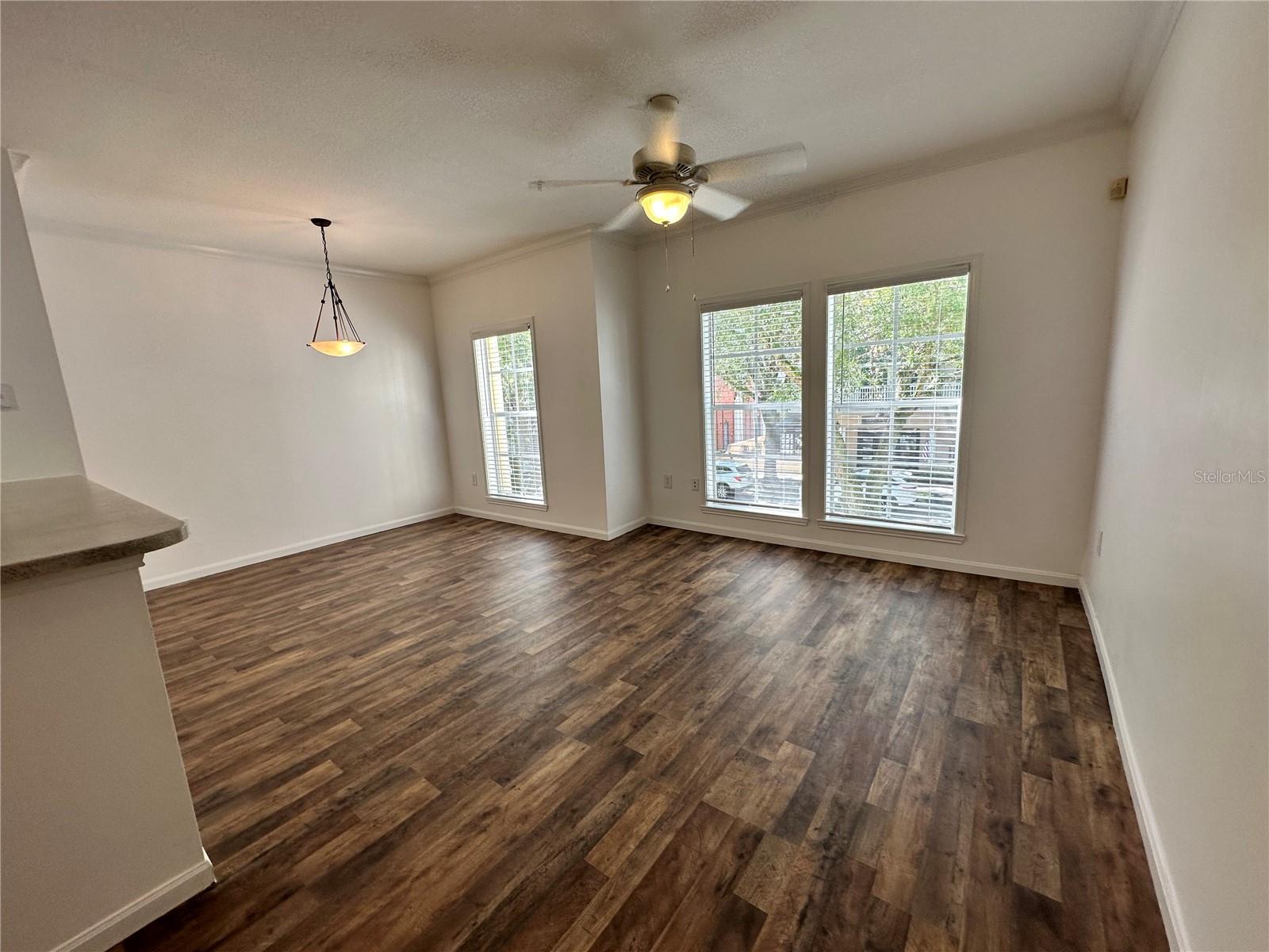 Image 31 of 54 For 729 Celebration Avenue 729