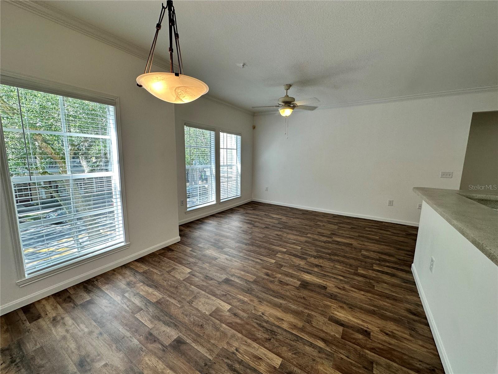 Image 32 of 54 For 729 Celebration Avenue 729