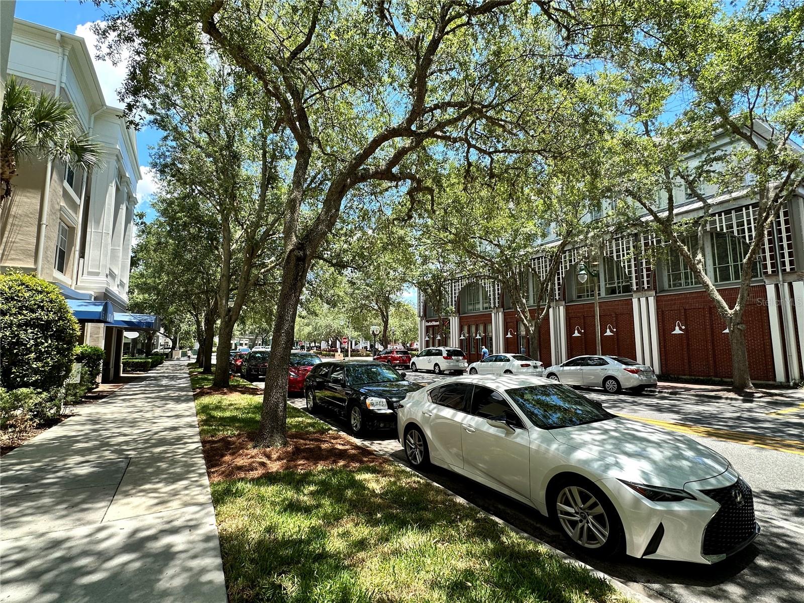 Image 36 of 54 For 729 Celebration Avenue 729