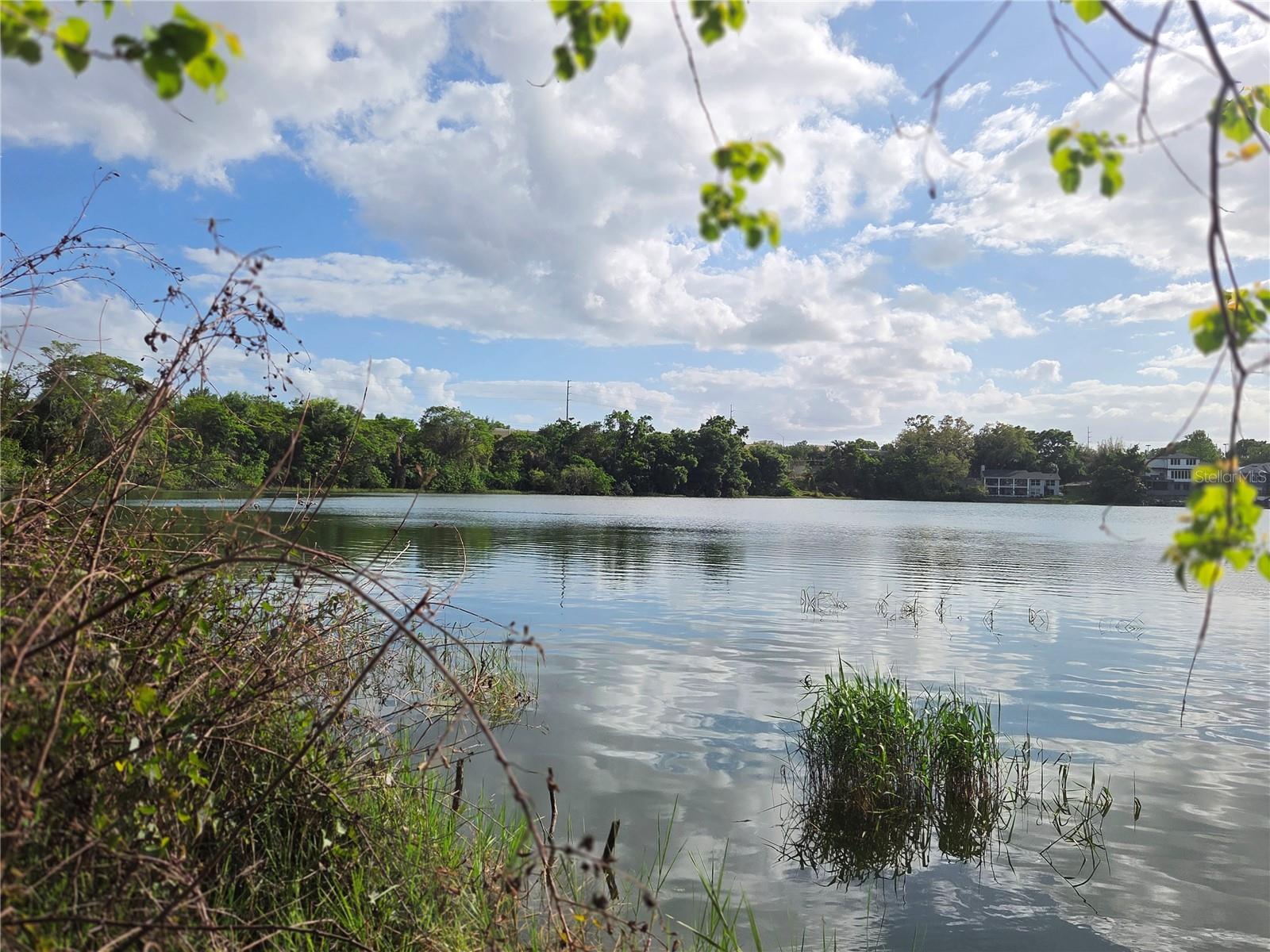 Details for 1408 Westmoreland Avenue, EUSTIS, FL 32726