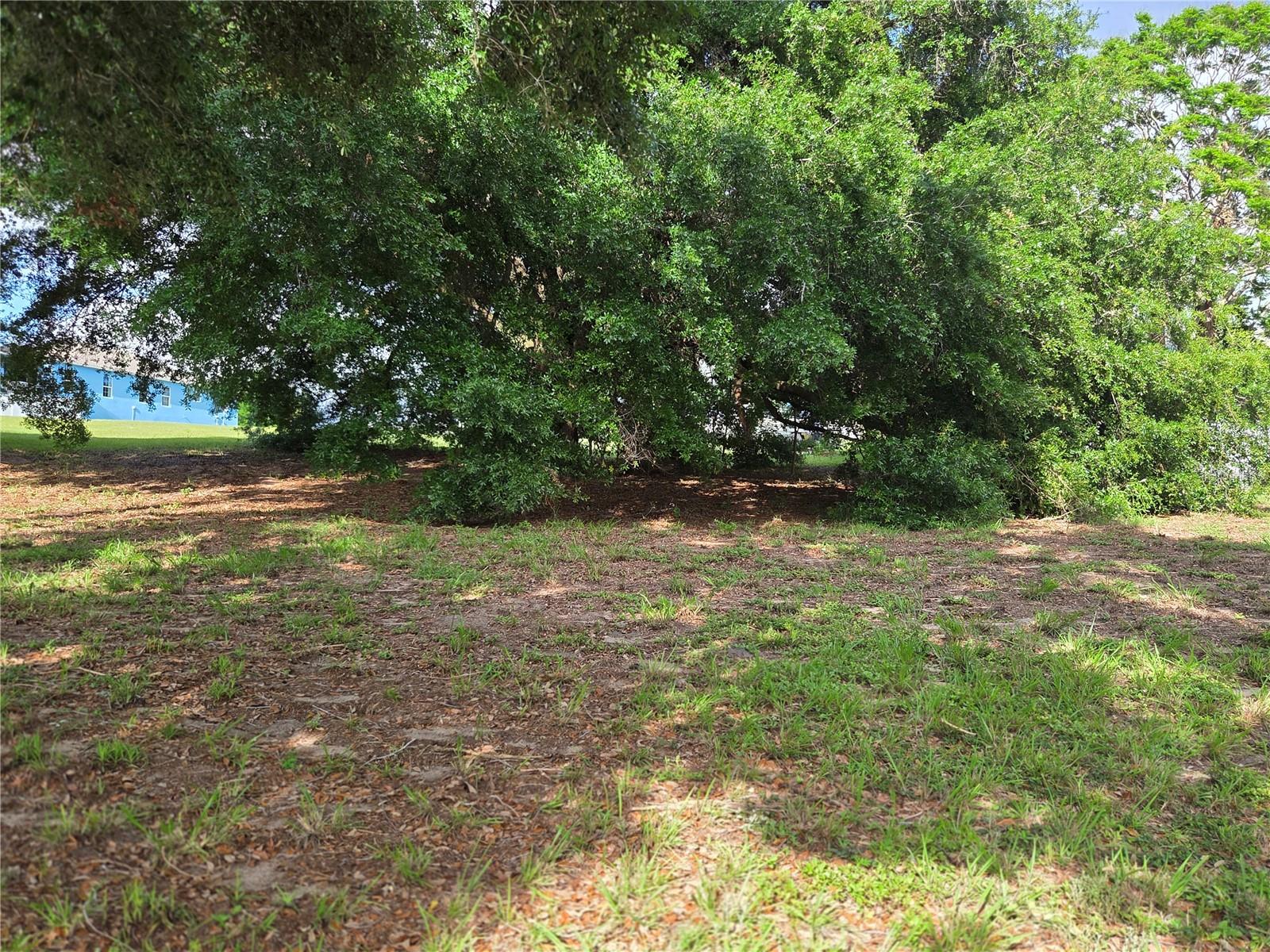 Image 11 of 23 For 1408 Westmoreland Avenue