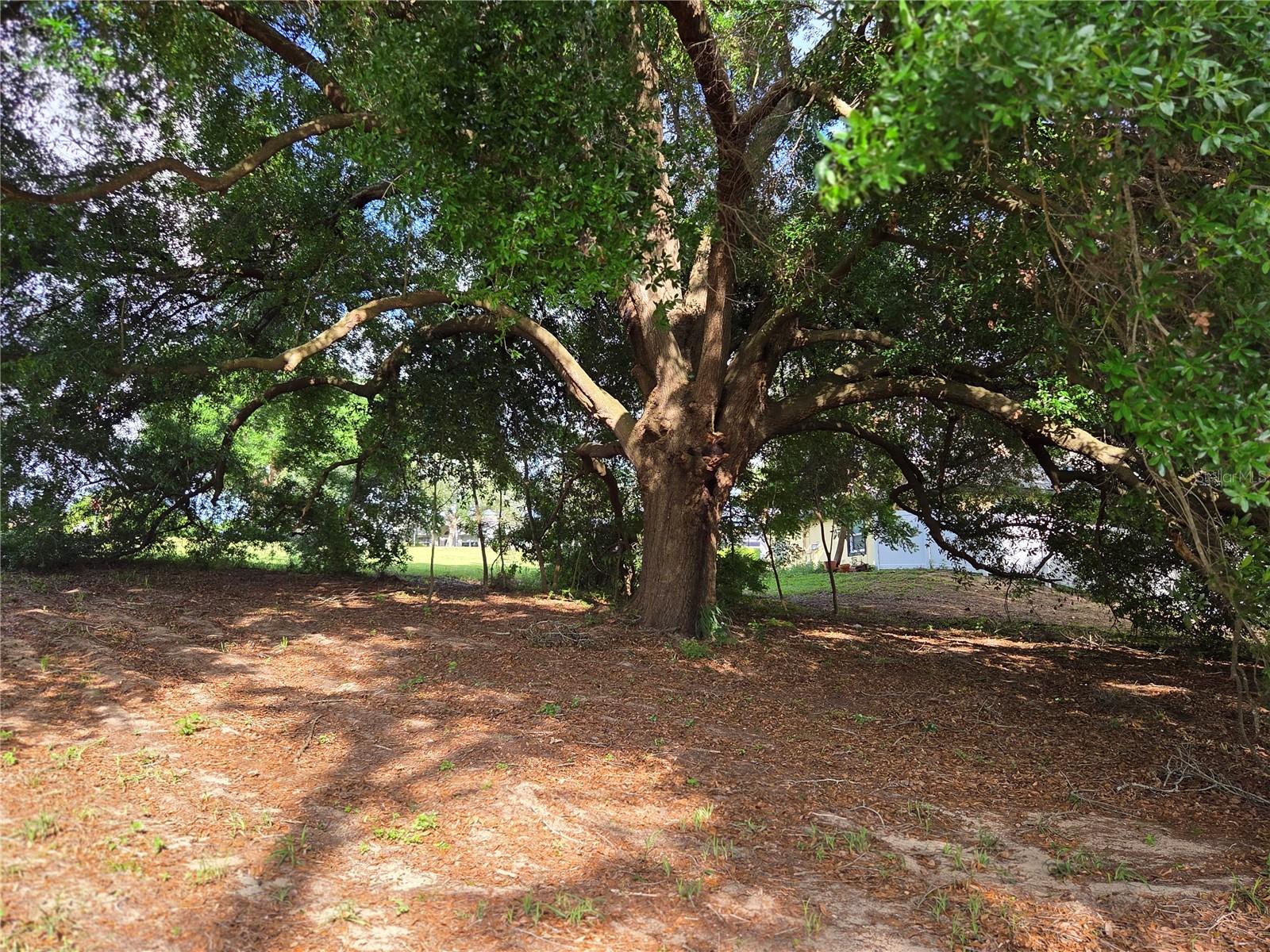 Image 13 of 23 For 1408 Westmoreland Avenue