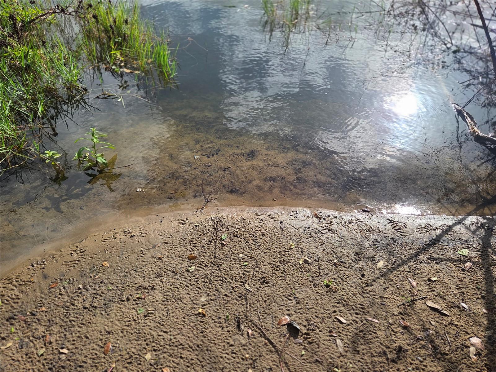 Image 5 of 23 For 1408 Westmoreland Avenue